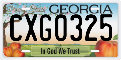 GA license plate CXG0325
