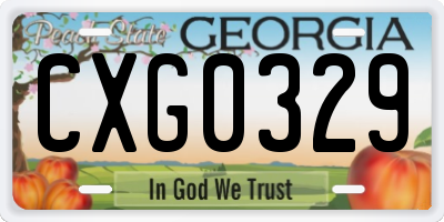 GA license plate CXG0329