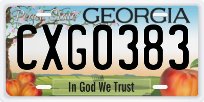 GA license plate CXG0383