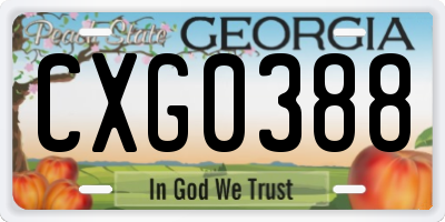 GA license plate CXG0388