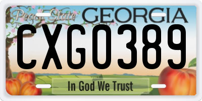 GA license plate CXG0389