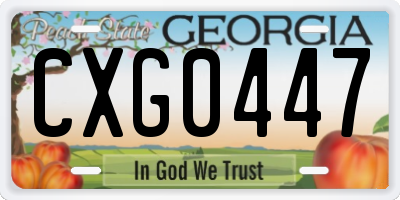 GA license plate CXG0447
