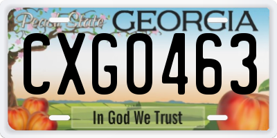 GA license plate CXG0463
