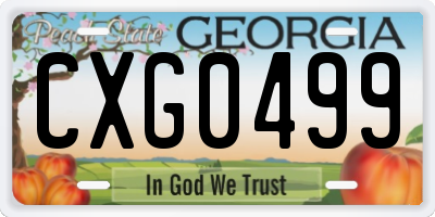 GA license plate CXG0499