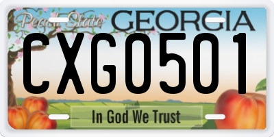 GA license plate CXG0501
