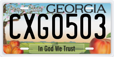 GA license plate CXG0503