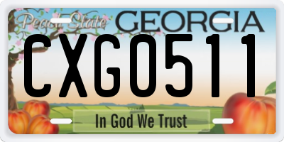 GA license plate CXG0511