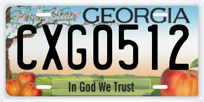 GA license plate CXG0512