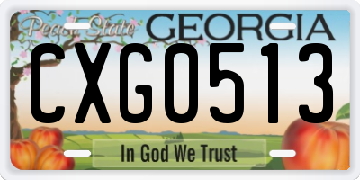 GA license plate CXG0513