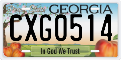 GA license plate CXG0514