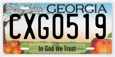GA license plate CXG0519