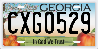 GA license plate CXG0529