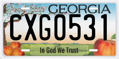 GA license plate CXG0531