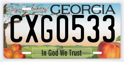 GA license plate CXG0533