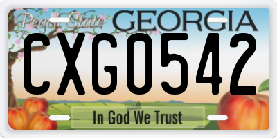 GA license plate CXG0542