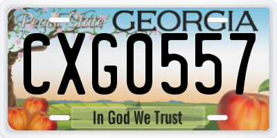 GA license plate CXG0557