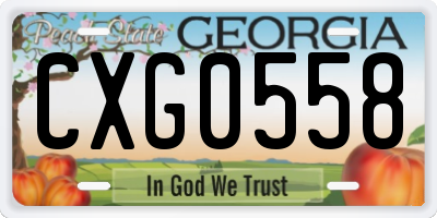 GA license plate CXG0558