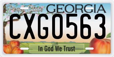 GA license plate CXG0563