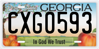 GA license plate CXG0593