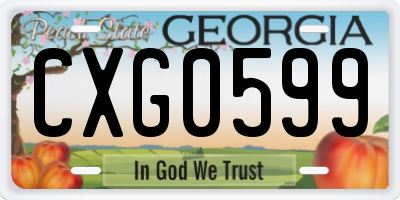 GA license plate CXG0599