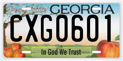 GA license plate CXG0601