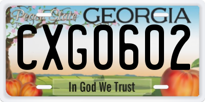 GA license plate CXG0602