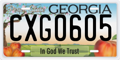GA license plate CXG0605