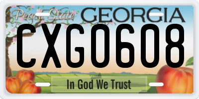 GA license plate CXG0608