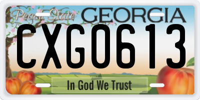 GA license plate CXG0613