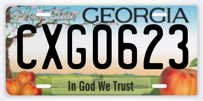 GA license plate CXG0623
