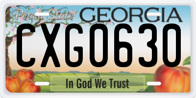 GA license plate CXG0630