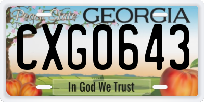 GA license plate CXG0643