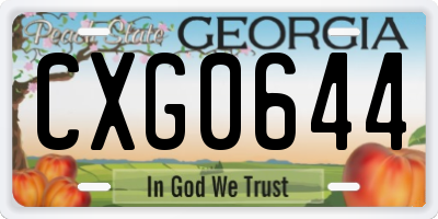 GA license plate CXG0644