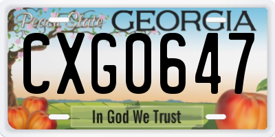 GA license plate CXG0647