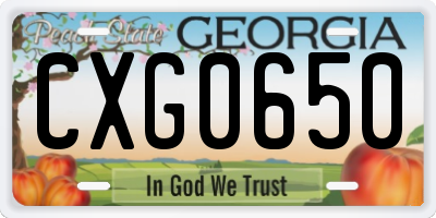 GA license plate CXG0650