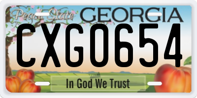 GA license plate CXG0654