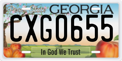 GA license plate CXG0655