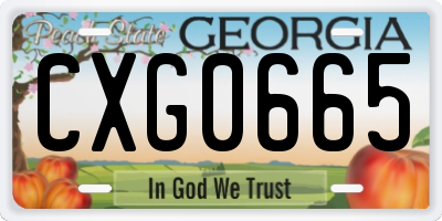 GA license plate CXG0665