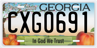 GA license plate CXG0691