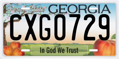 GA license plate CXG0729