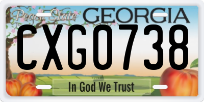 GA license plate CXG0738