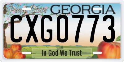 GA license plate CXG0773
