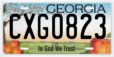 GA license plate CXG0823