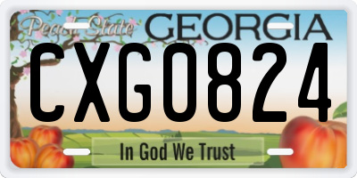 GA license plate CXG0824
