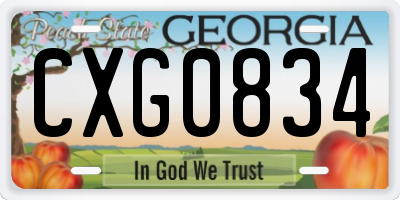 GA license plate CXG0834