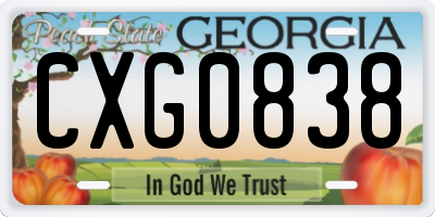 GA license plate CXG0838