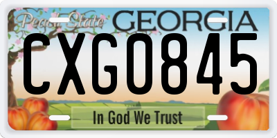 GA license plate CXG0845
