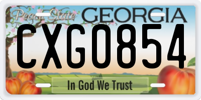 GA license plate CXG0854