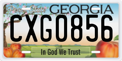 GA license plate CXG0856