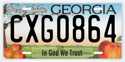 GA license plate CXG0864